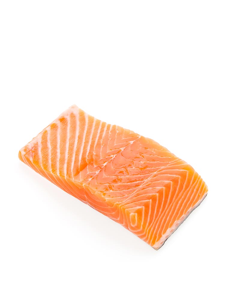 Salmon