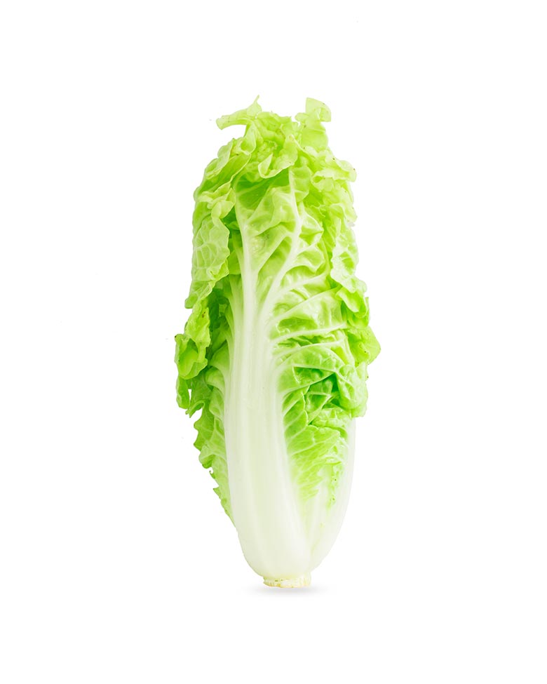 Cabbage